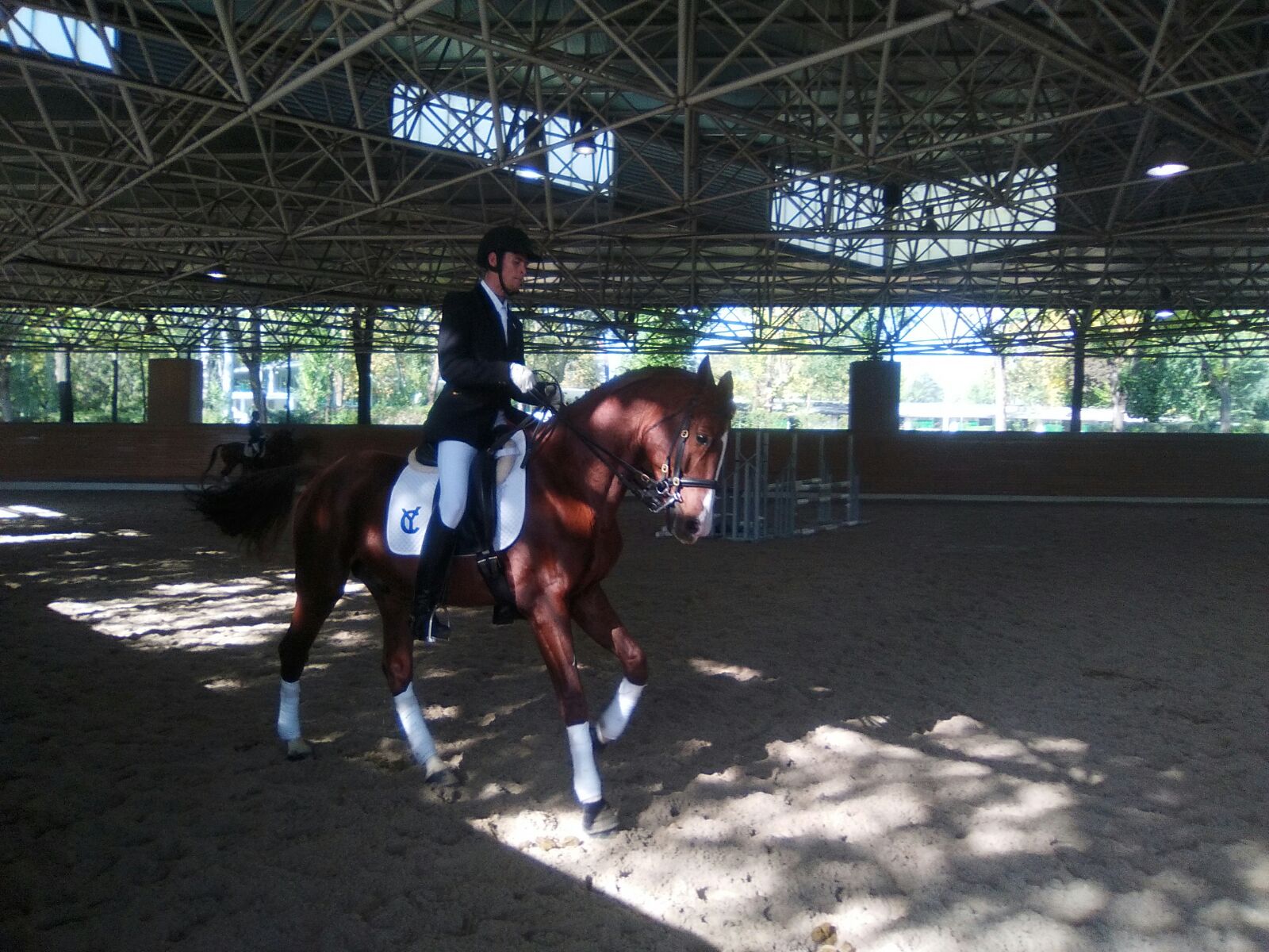 Yoel Calvillo Sánchez tercer clasificado en categoría clásica en la IX Copa SM el Rey Doma Clásica